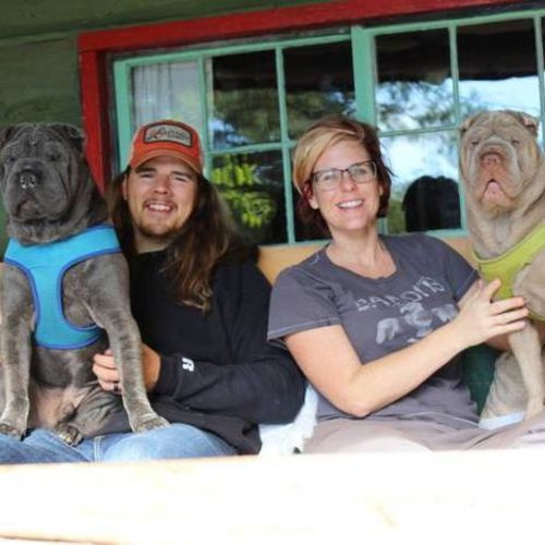 House Sitter Job Amber S's Profile Picture