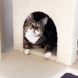 Reliable and loving sitter