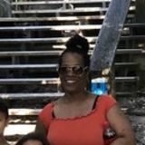 Available: Great House Sitting Professional in Morganton, North Carolina