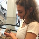 Available: Reliable Animal Lover in Albany, New York