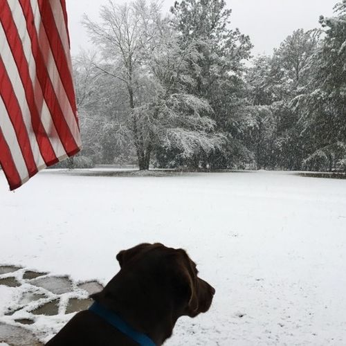 House Sitter Provider M&M J's Profile Picture