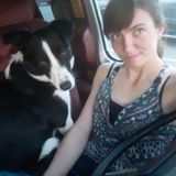 Patient and Active Pet Sitter