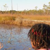 Best Home Sitter in Slidell and New Orleans Area