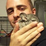 Flexible House Sitter for Your Home