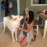 Interested In a Pet Supervisor Job in Athens, Ohio
