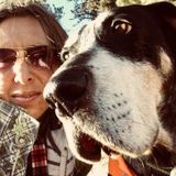 Searching for a Home Sitter Opportunity in California or elsewhere in the US