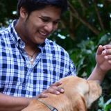 Petcare! :)