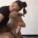 Hello! my name is Flor, and im offering overnight care, pet sitting and much love for your pets.