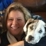 Confident, Experienced, and Professional House Sitter