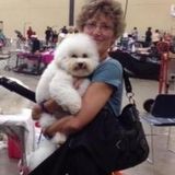 Talented Pet Sitter for Your Home