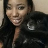 Available: Friendly & Reliable House Sitter