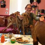 New Braunfels, Texas Pet Sitter Posting