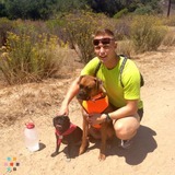 Dog Runner/walker!