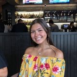 Dogwalker Available in Miami!