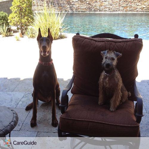 Pet Care Provider Dani H's Profile Picture