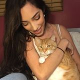 Pet Sitter looking for job! Can commute to your house if needed