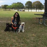 Caring Pet sitter for Hire. Love being surrounded by animals as well as taking care of them and making sure they are happy !