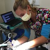 Veterinary technician for 11 years and medical manager in rescues.