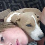 Visalia Pet-Nanny