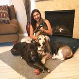 Petsitter, dog walker and above all, an animal lover :)