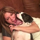 Dog or Cat sitter available