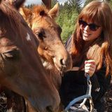 Horse, Dog, Car House sitter with lots of expirience ready to take care of your furry family