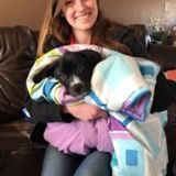 Seeking an Animal Caregiver Job in Social Circle, Georgia or in areas near me.