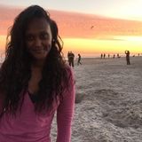 Chapel Hill House Sitter Looking For Being Hired