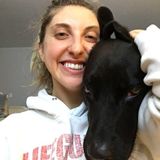 Westerville Pet Care Provider Available For Being Hired in Ohio