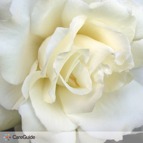 Housekeeper Provider PILAR B's Profile Picture