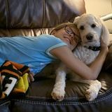 Capable Dog Walking Available and dog sitting available