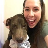 Excellent Pet Sitter Available Today