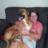 Skillful Pet Trainer for Hire