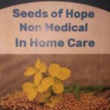 Seeds Of Hope Non Medical In Home Health Care LLC Provider