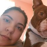 Need a house sitter ASAP?! I got you covered!