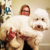 Experienced and compassionate pet sitter for hire.