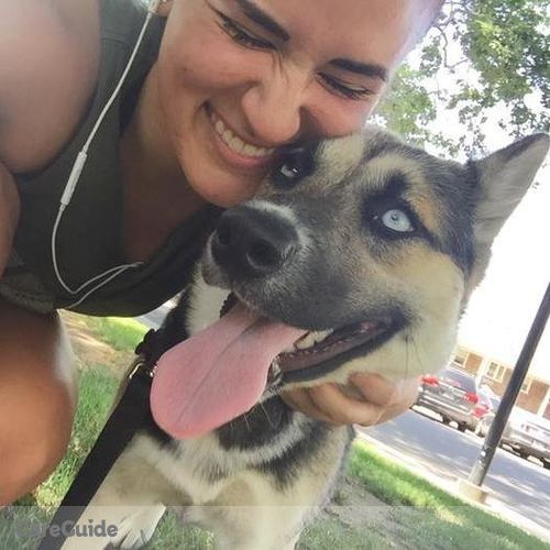 Pet Care Provider Amanda C's Profile Picture