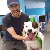 Patient and Loving Shelter Worker