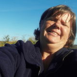 Looking for house or cottage cleaning or driving to Doctors appointments or shopping $20.00 hour.