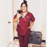 Professional animal lover!