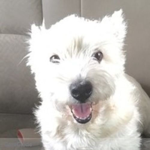 Pet Care Provider Jadai G's Profile Picture