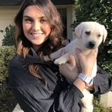 A responsible and experienced 19 year old seeking a part time babysitting job.