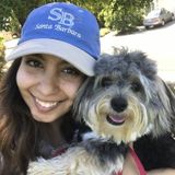 Will care for your pet with love!