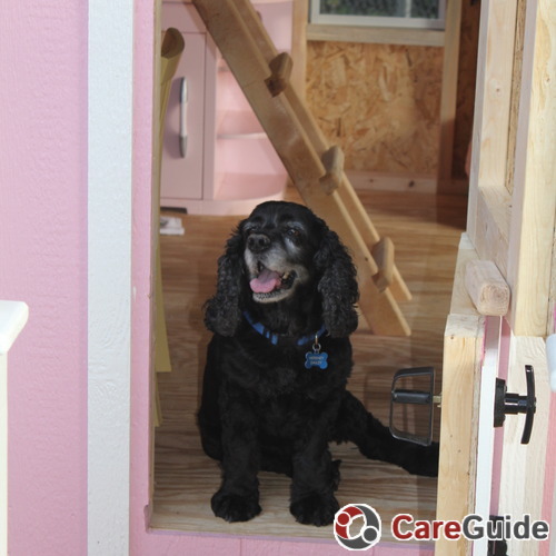 Pet Care Job stephanie d's Profile Picture