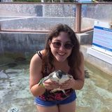 Helping owners catch a little free time or get help with a pet!
