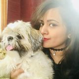Seeking a pet sitter part time job