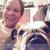 Vet Tech student, Mature, responsible, knowledgable, caring and experienced dog walker/pet sitter