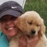 Skillful Pet Sitting Available Now!