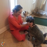OAKVILLE PET CARE - "Nurturing your pet when you can't"