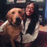 Passionate and excited about dogs!